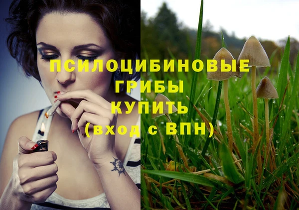 гидропоника Бежецк