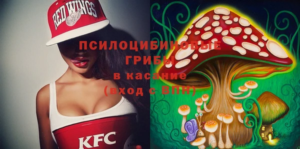 синтетический гашиш Няндома