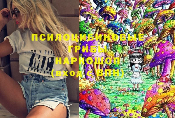 синтетический гашиш Няндома