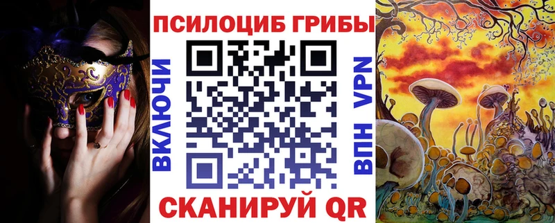 blacksprut сайт  Приволжский  Псилоцибиновые грибы прущие грибы  сколько стоит 